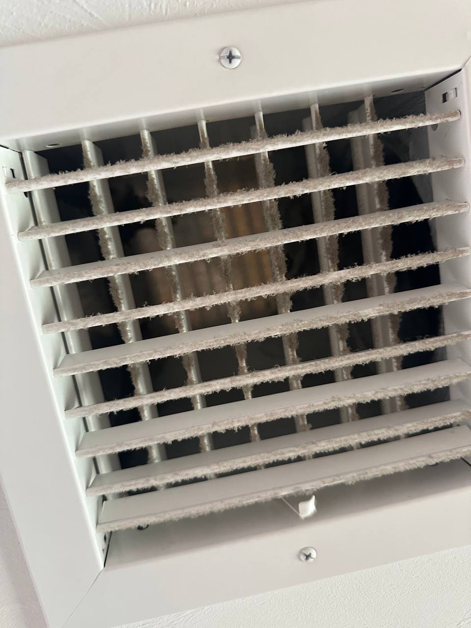 Mr. Duct Project Result